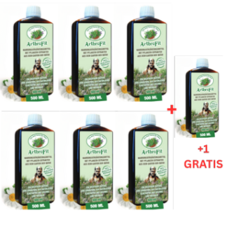 6 Flaschen ArthroFit je 500ml +1 Flasche gratis